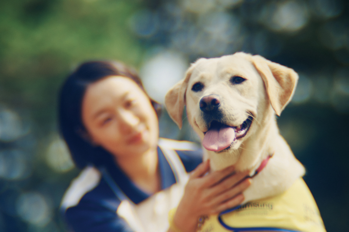The trainer is petting a guide dog for the visually impaired.